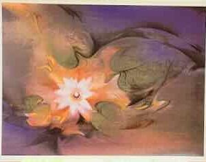 Kunstkarte No F 0016