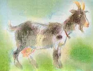 Kunstkarte No F 0020