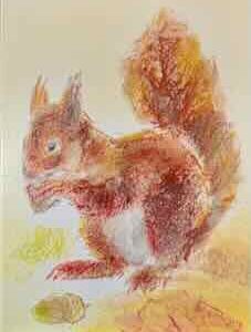 Kunstkarte No F 0021