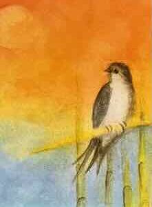 Kunstkarte No F 0101