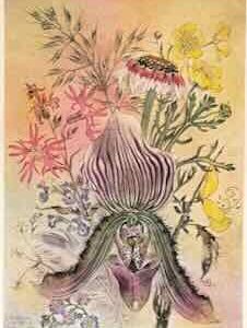 Kunstkarte No F 0256