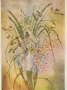 Kunstkarte No F 0257