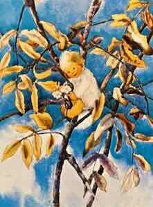 Kunstkarte No F 0341